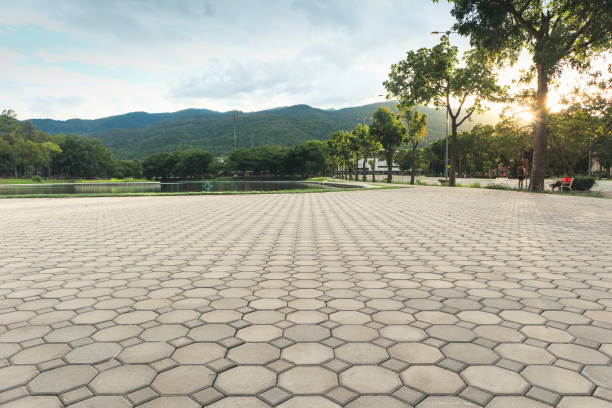 Best Driveway Paving Contractor  in Edina, MO